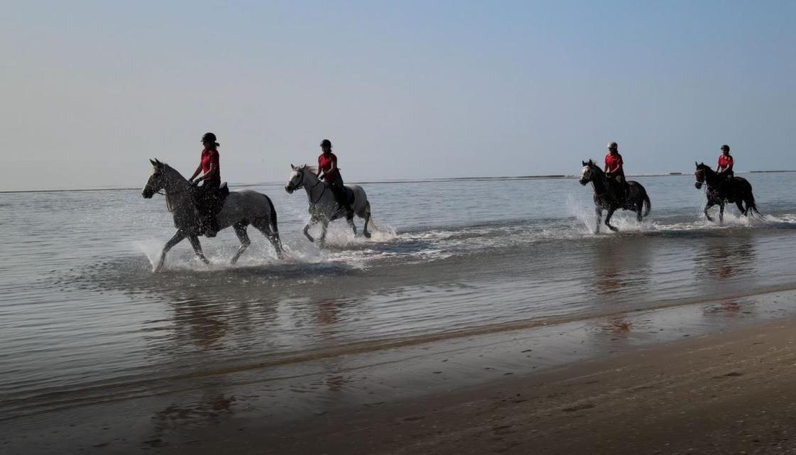 فيلا Brussa Horse Oasi كاوْرلي المظهر الخارجي الصورة