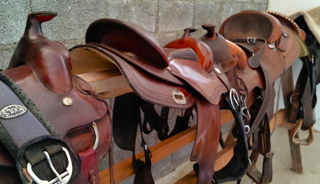 فيلا Brussa Horse Oasi كاوْرلي المظهر الخارجي الصورة